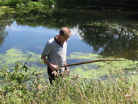 August at Sandford Mill