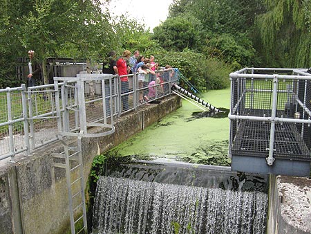 August at Sandford Mill