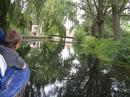 August at Sandford Mill