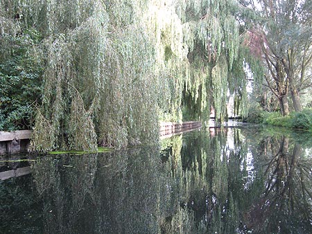 View of Sandford Mill from the Chelmer and Blackwater Navigation Canal